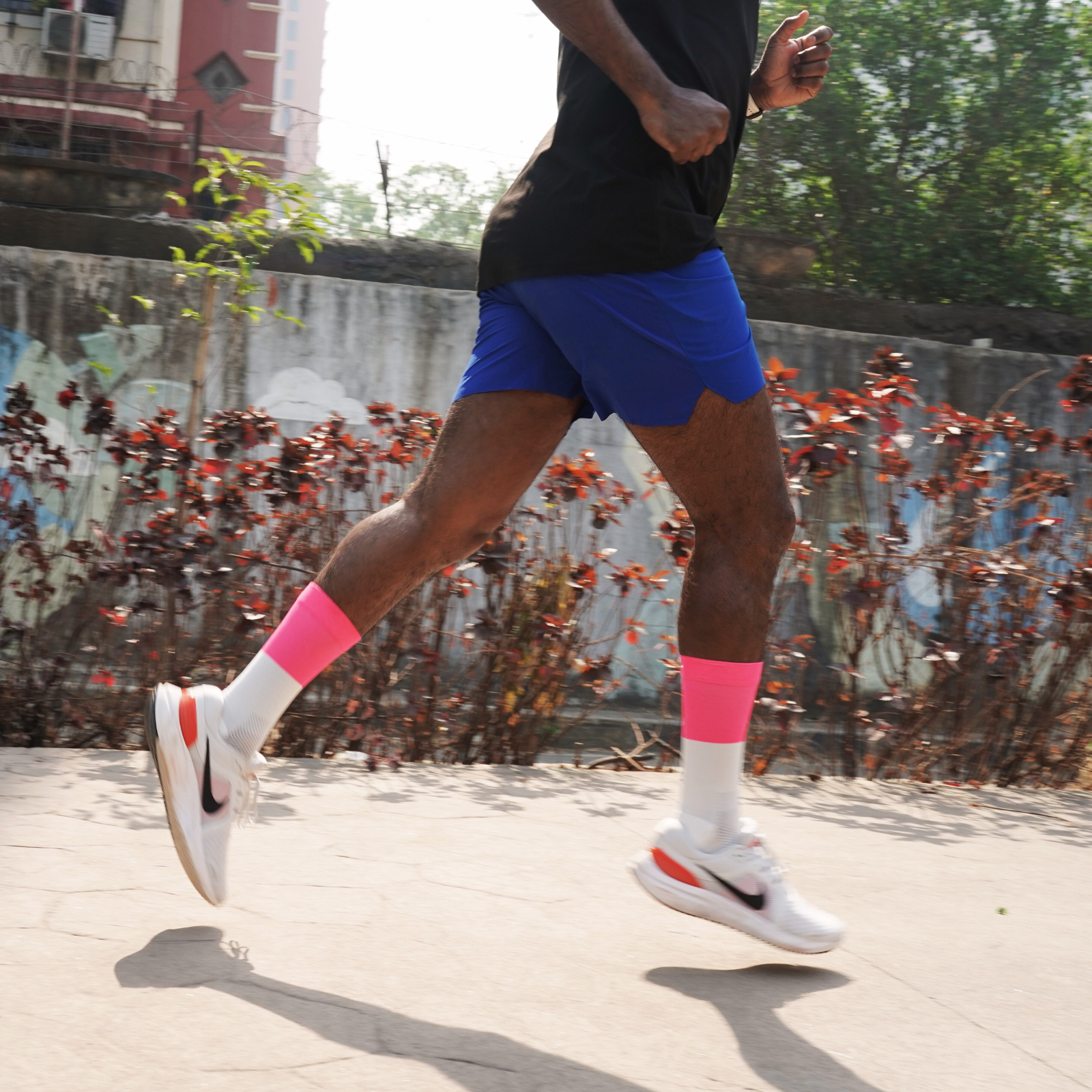 Sprint Pink - Split Series